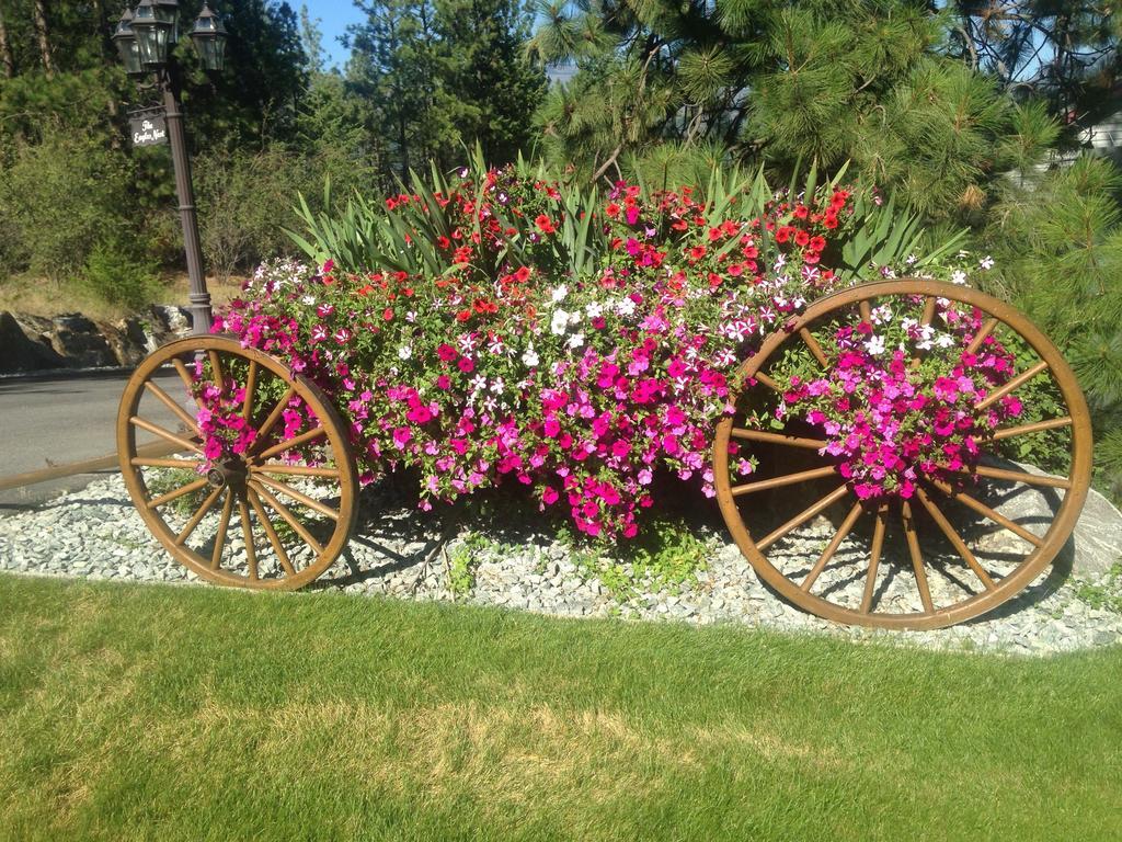 Eagle'S Nest B&B Lake Country Εξωτερικό φωτογραφία