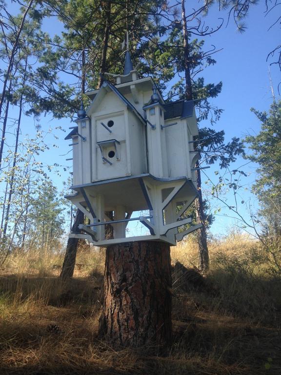 Eagle'S Nest B&B Lake Country Εξωτερικό φωτογραφία