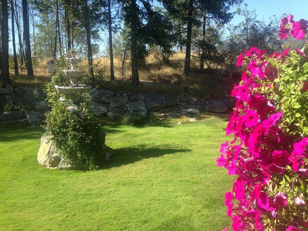 Eagle'S Nest B&B Lake Country Εξωτερικό φωτογραφία