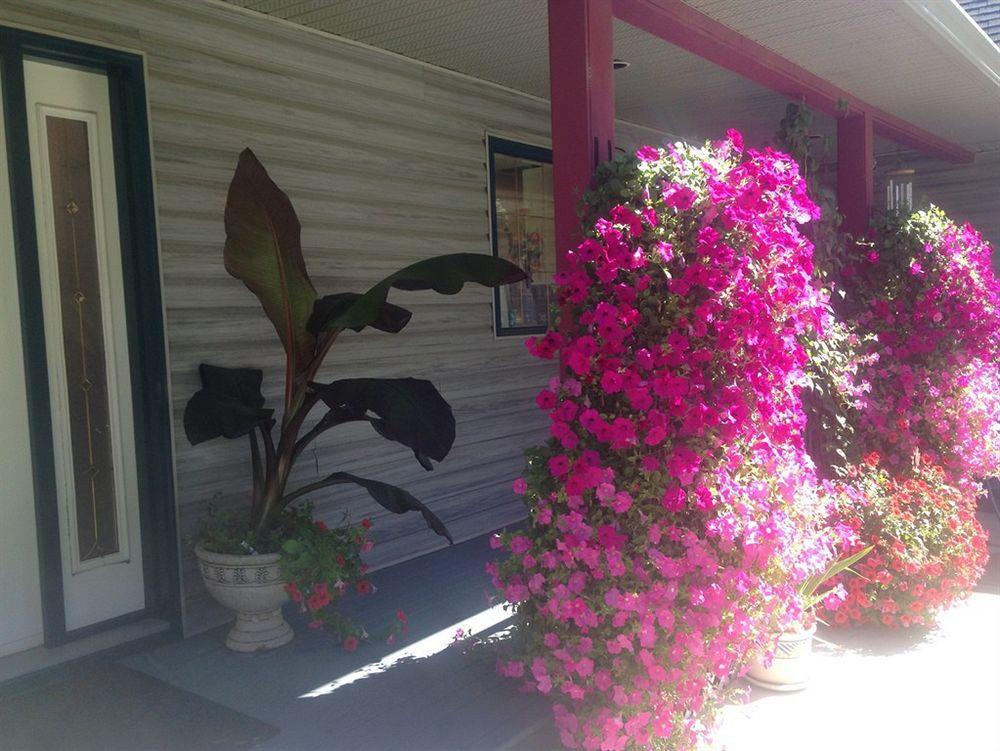 Eagle'S Nest B&B Lake Country Εξωτερικό φωτογραφία